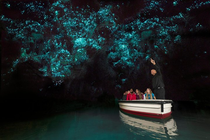 Waitomo Glow Worm Caves